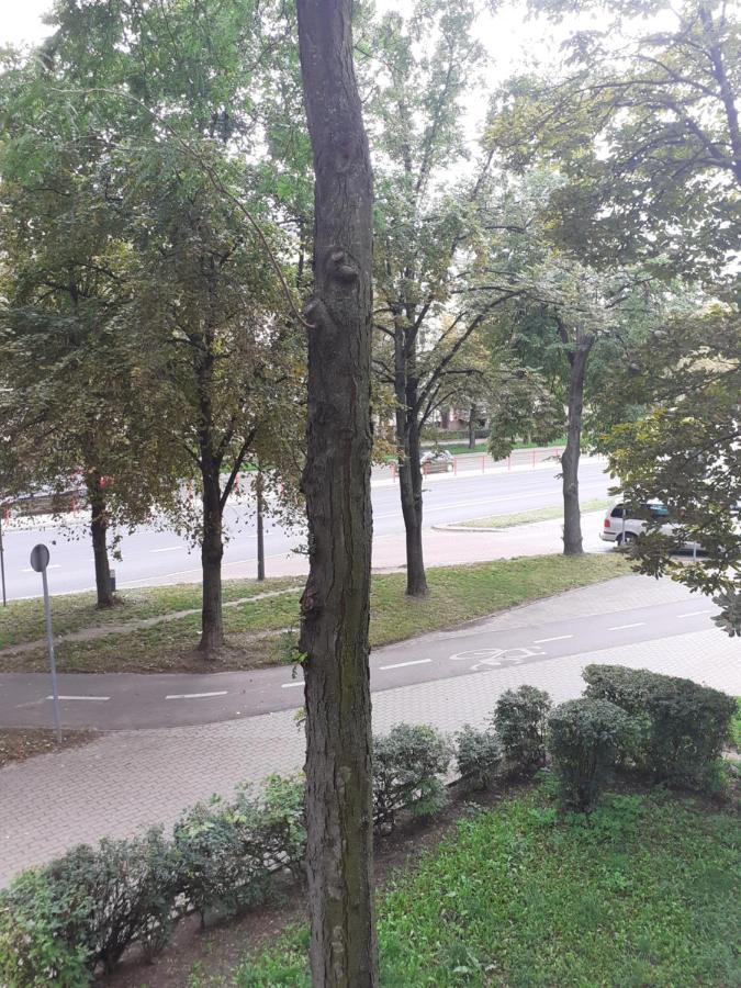 Apartamenty Centrum Pilsudskiego Białystok Esterno foto